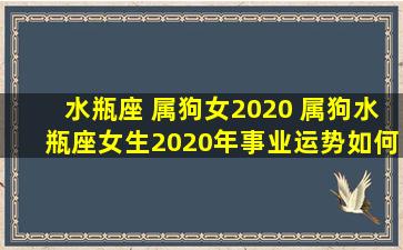 水瓶座 属狗女2020 属狗水瓶座女生2020年事业运势如何